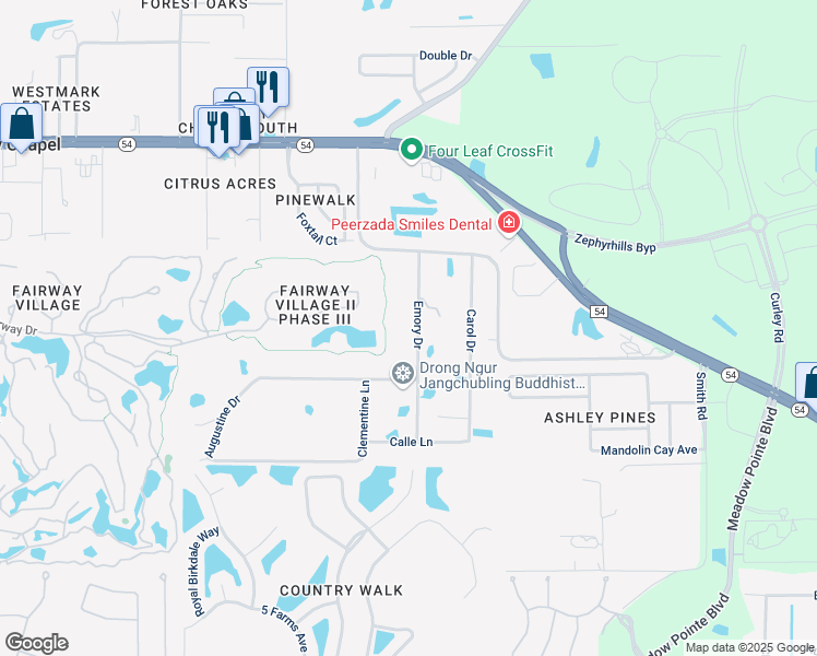 map of restaurants, bars, coffee shops, grocery stores, and more near 5311 Emory Drive in Zephyrhills