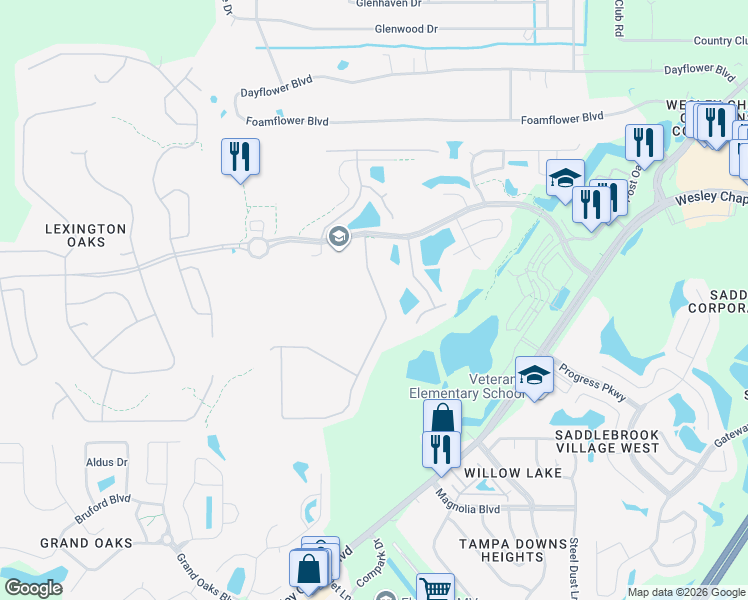 map of restaurants, bars, coffee shops, grocery stores, and more near 5321 Silver Charm Terrace in Wesley Chapel