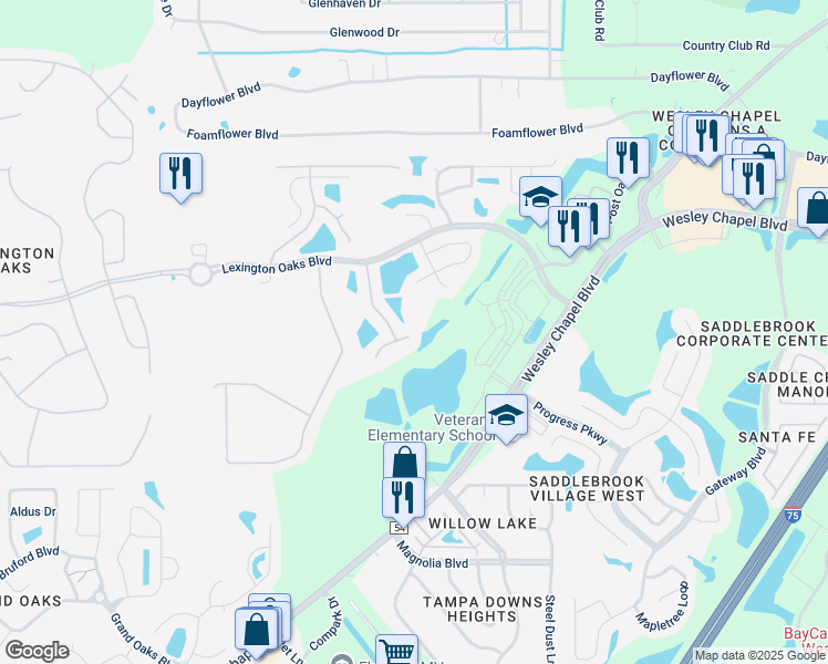 map of restaurants, bars, coffee shops, grocery stores, and more near 26619 Tim Tam Place in Zephyrhills