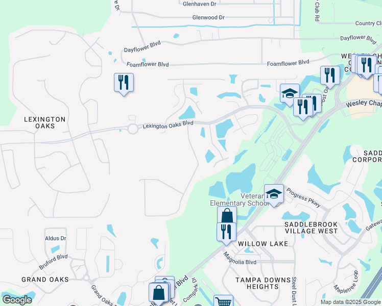 map of restaurants, bars, coffee shops, grocery stores, and more near 5329 Silver Charm Terrace in Wesley Chapel