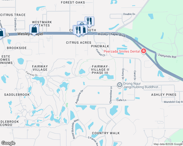 map of restaurants, bars, coffee shops, grocery stores, and more near 30145 Fairway Drive in Zephyrhills