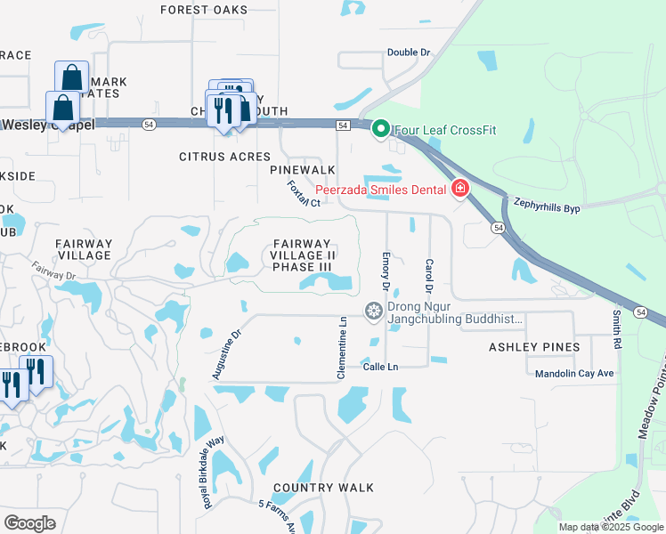 map of restaurants, bars, coffee shops, grocery stores, and more near 30350 Laurelwood Lane in Zephyrhills