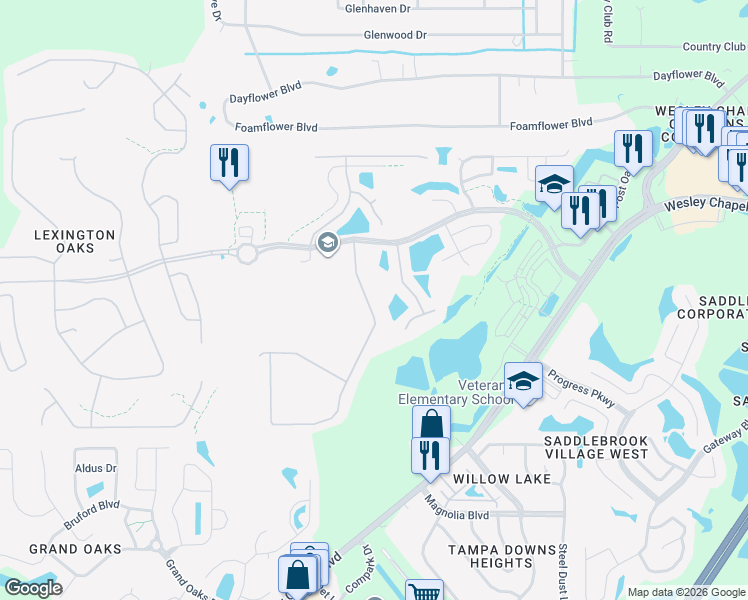 map of restaurants, bars, coffee shops, grocery stores, and more near 5324 Silver Charm Terrace in Zephyrhills