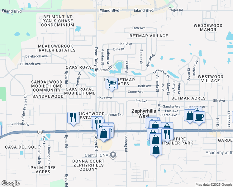 map of restaurants, bars, coffee shops, grocery stores, and more near 36634 Grace Avenue in Zephyrhills
