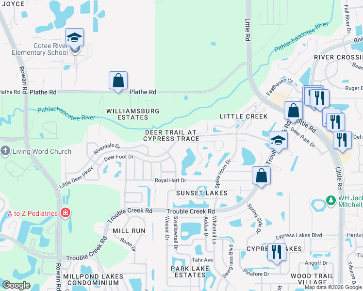 map of restaurants, bars, coffee shops, grocery stores, and more near 8130 Matthew Drive in New Port Richey