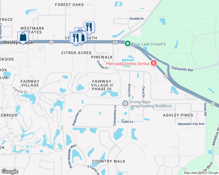 map of restaurants, bars, coffee shops, grocery stores, and more near 30350 Laurelwood Lane in Zephyrhills