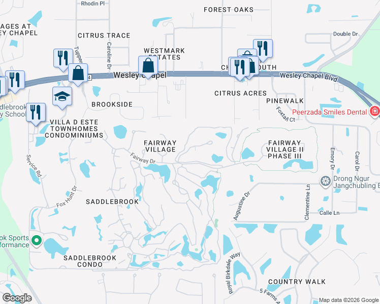 map of restaurants, bars, coffee shops, grocery stores, and more near 29820 Baywood Lane in Zephyrhills