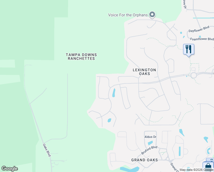 map of restaurants, bars, coffee shops, grocery stores, and more near 25427 Lexington Oaks Boulevard in Zephyrhills