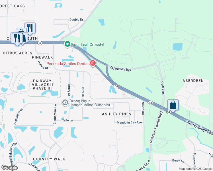 map of restaurants, bars, coffee shops, grocery stores, and more near 5202 Wesley Chapel Loop in Zephyrhills