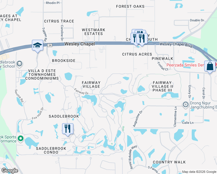 map of restaurants, bars, coffee shops, grocery stores, and more near 29820 Baywood Lane in Zephyrhills