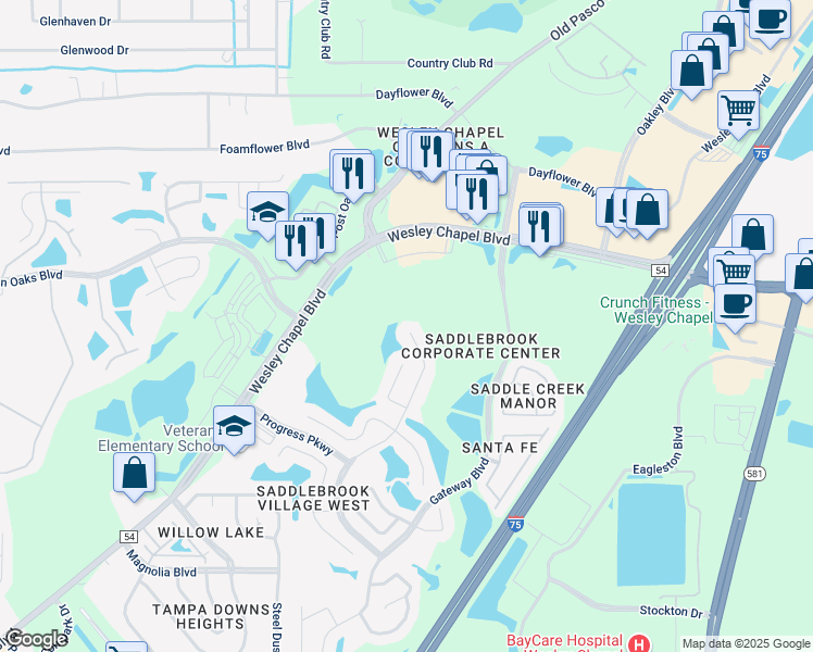 5340 Villagebrook Drive, Wesley Chapel FL Walk Score