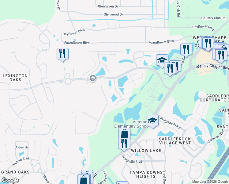 map of restaurants, bars, coffee shops, grocery stores, and more near 5345 Bold Venture Place in Wesley Chapel