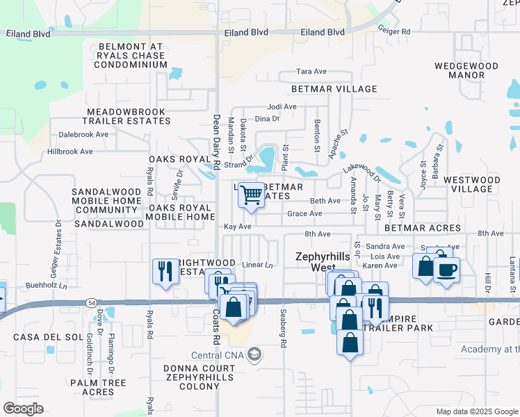 map of restaurants, bars, coffee shops, grocery stores, and more near 36634 Grace Avenue in Zephyrhills