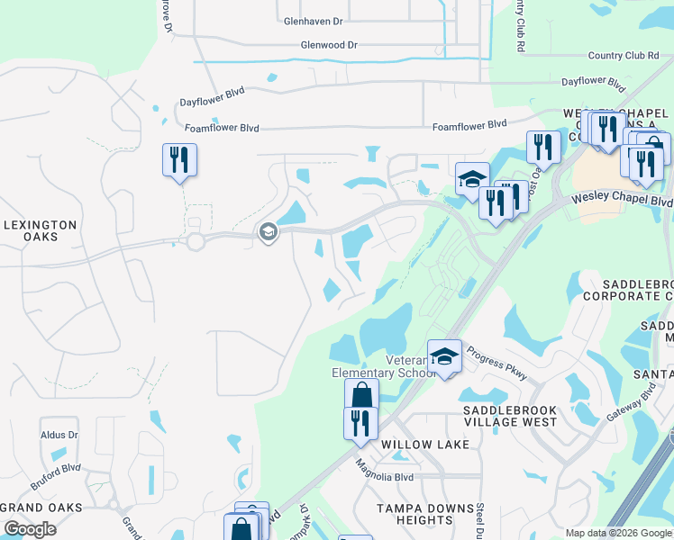 map of restaurants, bars, coffee shops, grocery stores, and more near 5345 Bold Venture Place in Wesley Chapel