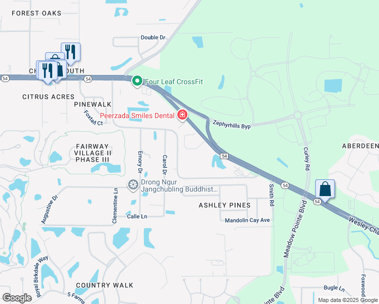 map of restaurants, bars, coffee shops, grocery stores, and more near 5202 Wesley Chapel Loop in Zephyrhills