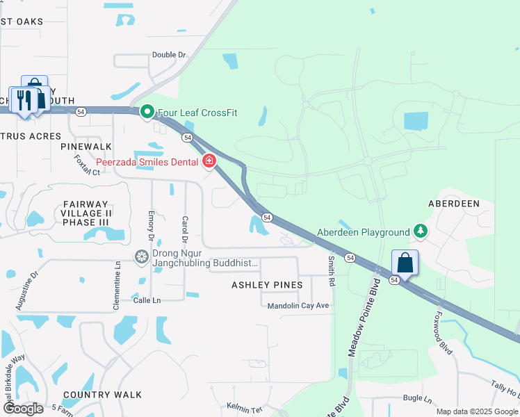 map of restaurants, bars, coffee shops, grocery stores, and more near 30777 Florida 54 in Wesley Chapel
