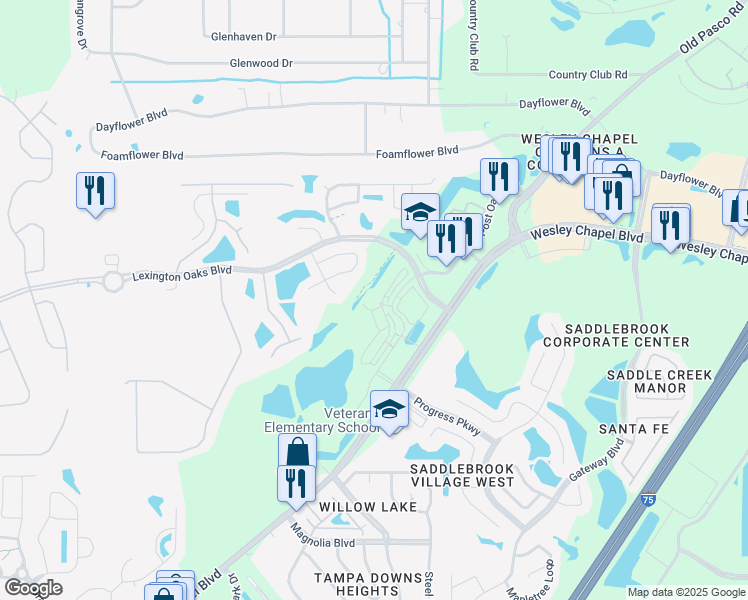 map of restaurants, bars, coffee shops, grocery stores, and more near 26815 Middleground Loop in Zephyrhills