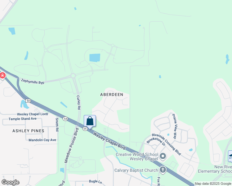 map of restaurants, bars, coffee shops, grocery stores, and more near 5512 Treig Lane in Wesley Chapel
