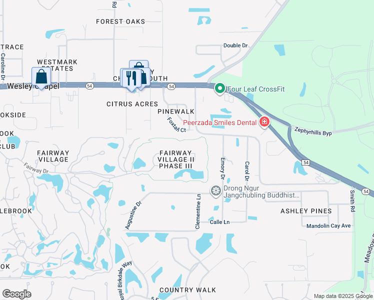 map of restaurants, bars, coffee shops, grocery stores, and more near 30341 Fairway Drive in Zephyrhills