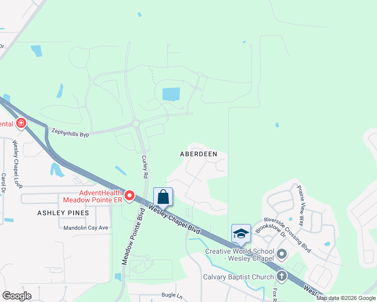 map of restaurants, bars, coffee shops, grocery stores, and more near 5410 Treig Lane in Wesley Chapel