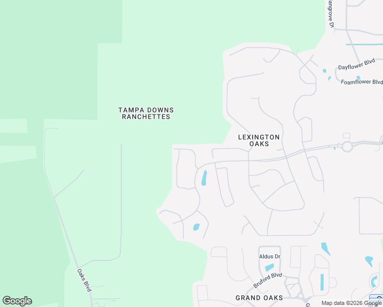 map of restaurants, bars, coffee shops, grocery stores, and more near 25337 Flying Ebony Lane in Wesley Chapel