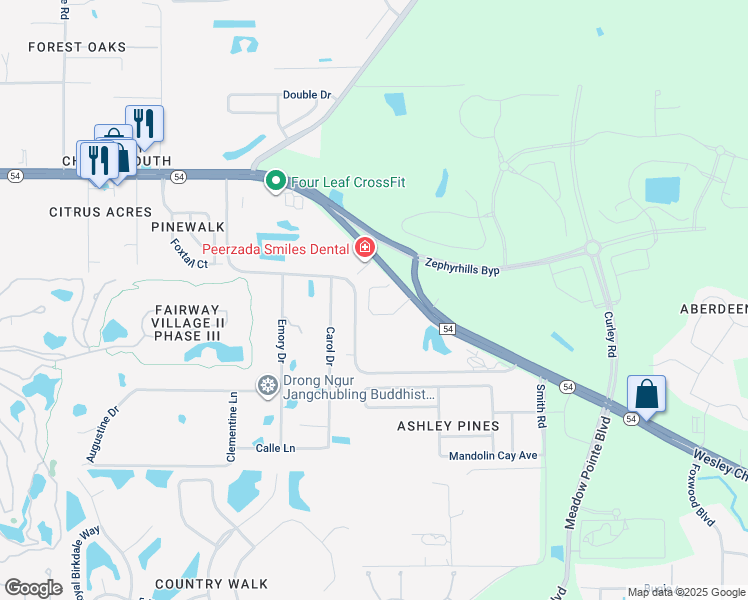 map of restaurants, bars, coffee shops, grocery stores, and more near 30846 Florida 54 in Zephyrhills