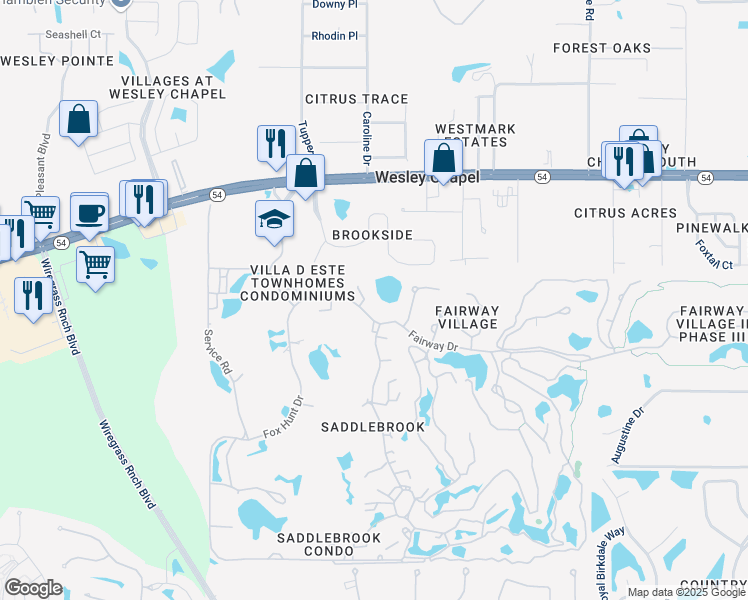 map of restaurants, bars, coffee shops, grocery stores, and more near 5420 Lady Bug Lane in Wesley Chapel