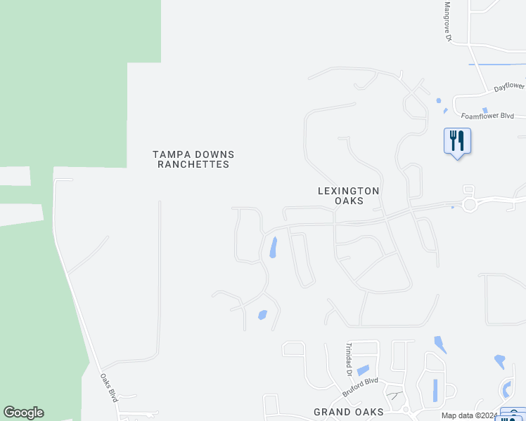 map of restaurants, bars, coffee shops, grocery stores, and more near 25337 Flying Ebony Lane in Wesley Chapel