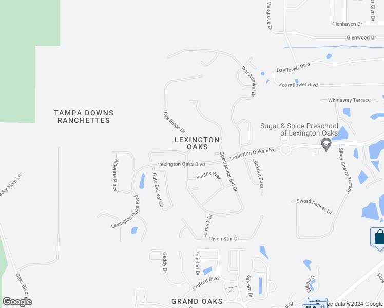map of restaurants, bars, coffee shops, grocery stores, and more near 5448 Riva Ridge Drive in Wesley Chapel