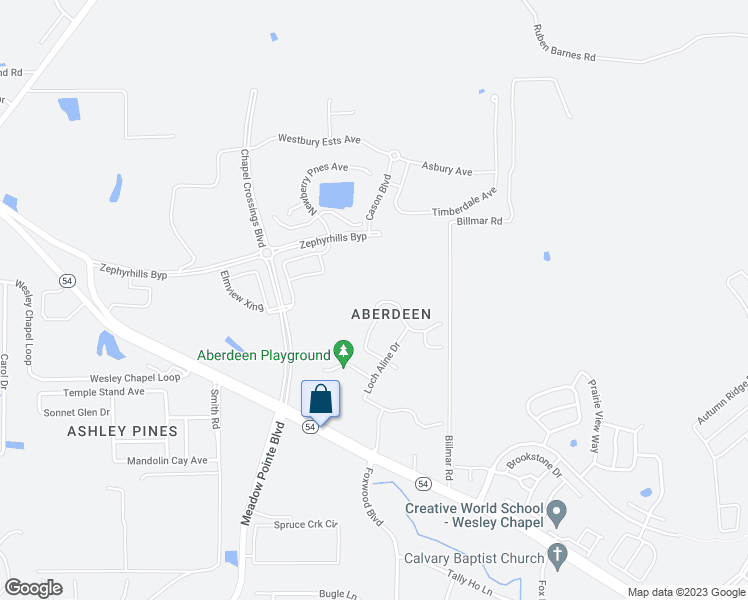 map of restaurants, bars, coffee shops, grocery stores, and more near 5418 Treig Lane in Wesley Chapel