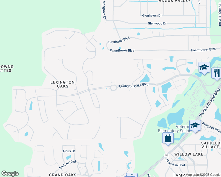 map of restaurants, bars, coffee shops, grocery stores, and more near 26300 Lexington Oaks Boulevard in Wesley Chapel