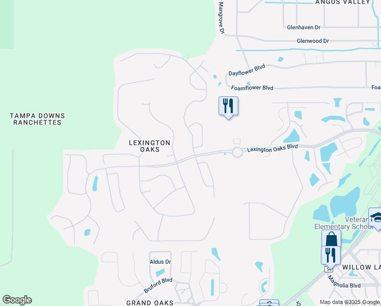 map of restaurants, bars, coffee shops, grocery stores, and more near 5503 War Admiral Drive in Wesley Chapel