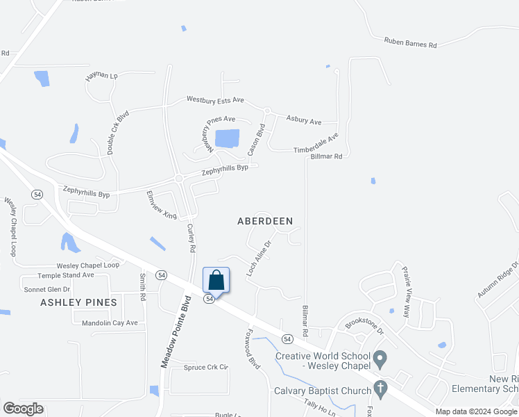 map of restaurants, bars, coffee shops, grocery stores, and more near 5430 Treig Lane in Wesley Chapel