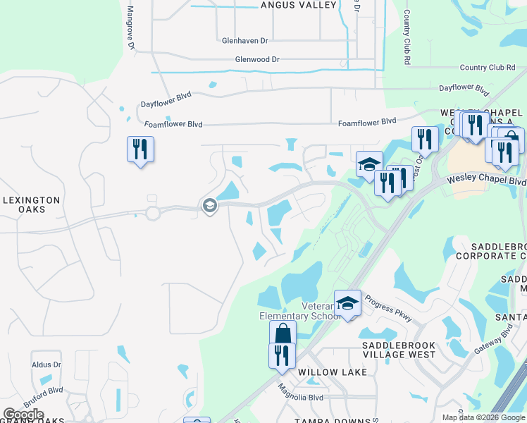 map of restaurants, bars, coffee shops, grocery stores, and more near 5704 Bold Venture Place in Wesley Chapel