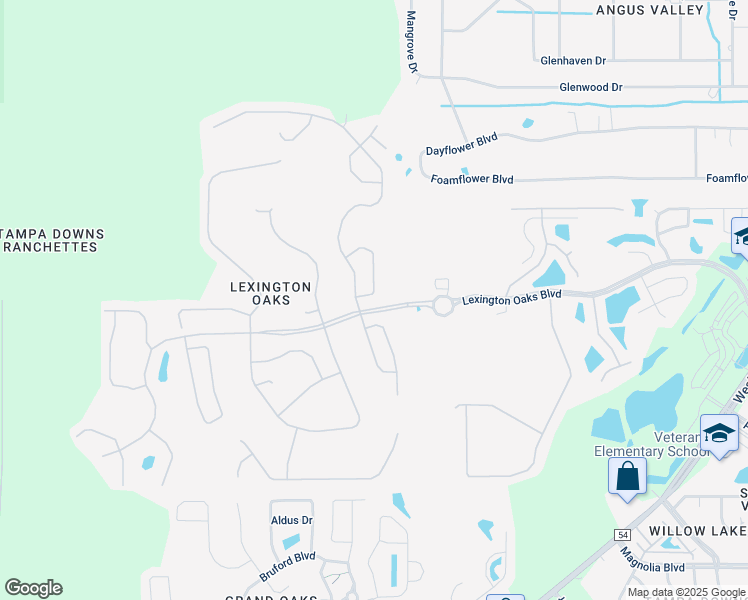 map of restaurants, bars, coffee shops, grocery stores, and more near 5503 War Admiral Drive in Wesley Chapel
