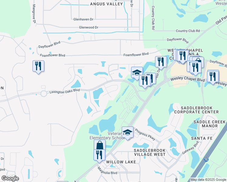 map of restaurants, bars, coffee shops, grocery stores, and more near 5451 Middleground Loop in Wesley Chapel