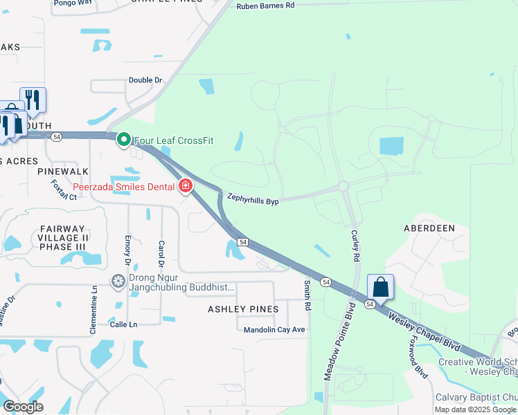 map of restaurants, bars, coffee shops, grocery stores, and more near 30777-30847 Highway 54 in Wesley Chapel