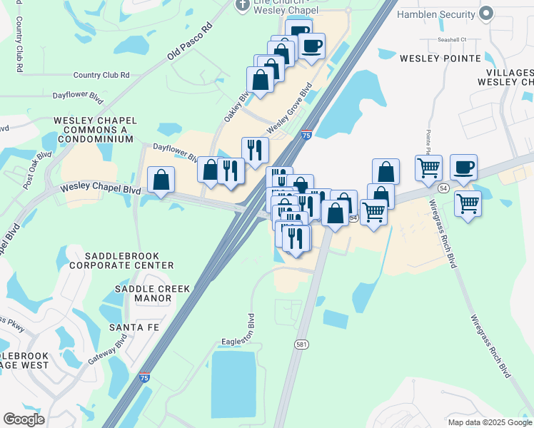 map of restaurants, bars, coffee shops, grocery stores, and more near Florida 54 in Wesley Chapel