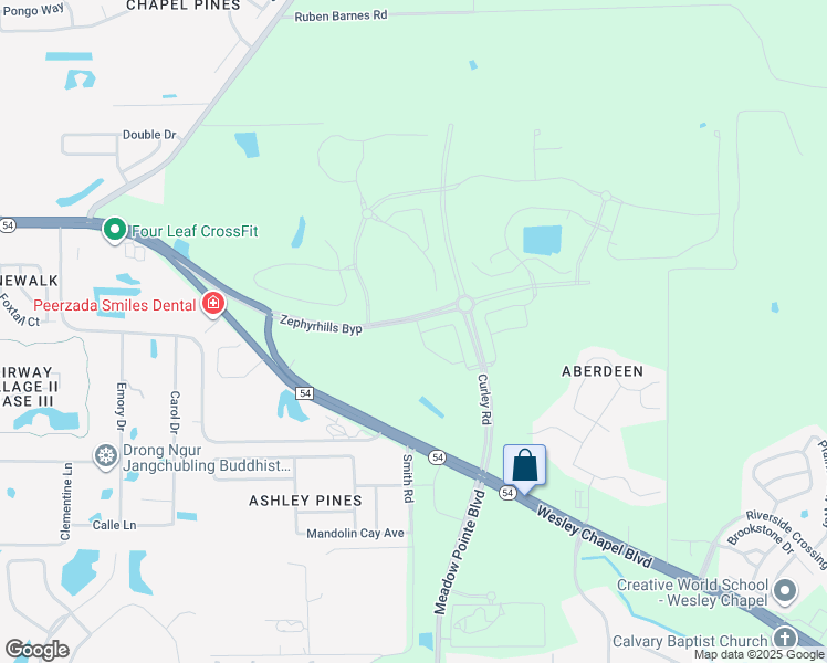 map of restaurants, bars, coffee shops, grocery stores, and more near 31065 Florida 54 in Zephyrhills