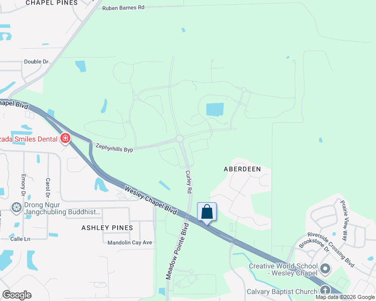 map of restaurants, bars, coffee shops, grocery stores, and more near 5513 Brooklet Woods Drive in Wesley Chapel