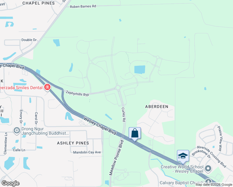 map of restaurants, bars, coffee shops, grocery stores, and more near 31357 Amberview Bend in Wesley Chapel