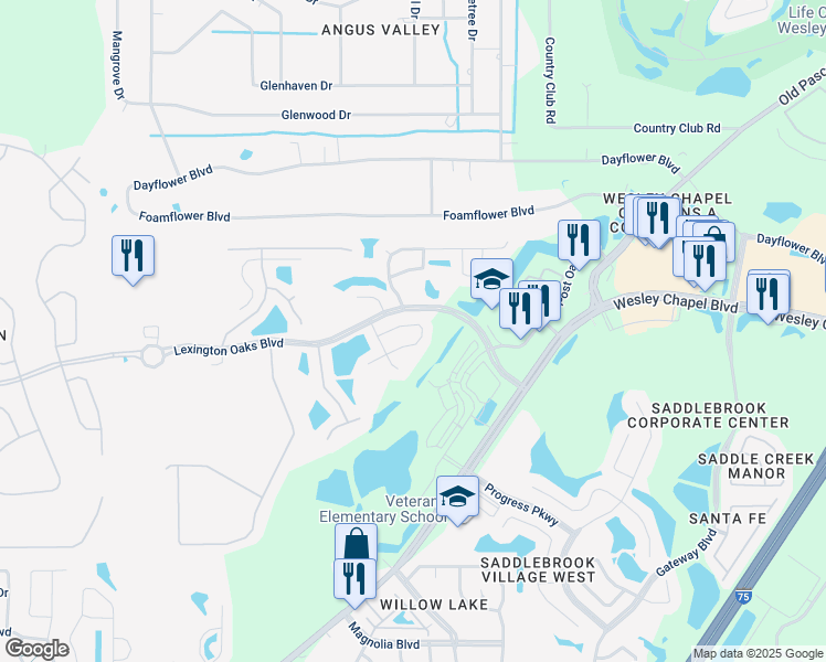map of restaurants, bars, coffee shops, grocery stores, and more near 26730 Middleground Loop in Wesley Chapel