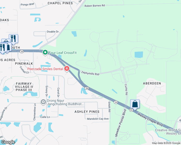 map of restaurants, bars, coffee shops, grocery stores, and more near 31065 Florida 54 in Zephyrhills