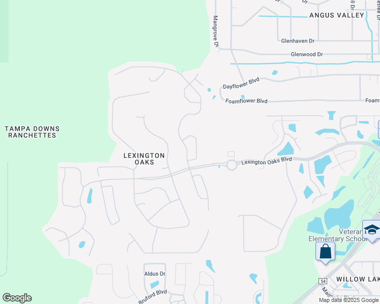 map of restaurants, bars, coffee shops, grocery stores, and more near 5538 War Admiral Drive in Wesley Chapel