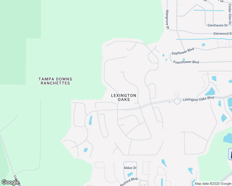 map of restaurants, bars, coffee shops, grocery stores, and more near 5551 Riva Ridge Drive in Wesley Chapel