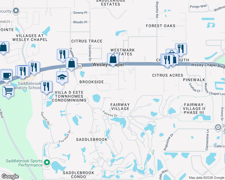 map of restaurants, bars, coffee shops, grocery stores, and more near 29619 Chapel Park Drive in Wesley Chapel