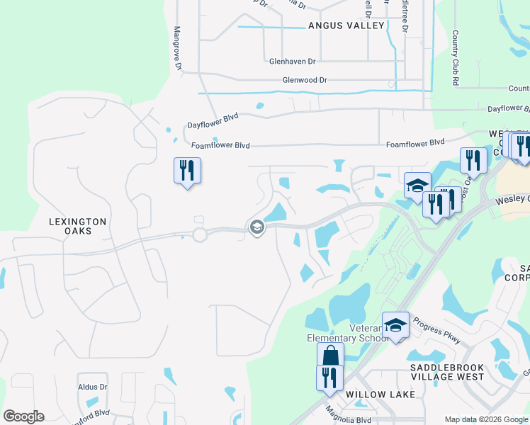 map of restaurants, bars, coffee shops, grocery stores, and more near 5546 Cannonade Drive in Wesley Chapel