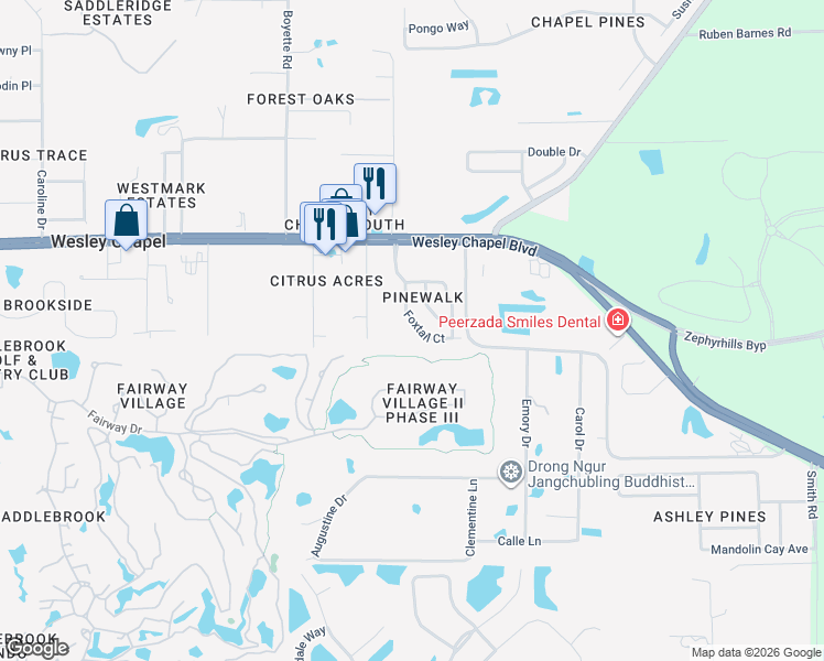 map of restaurants, bars, coffee shops, grocery stores, and more near 5535 Foxtail Court in Wesley Chapel