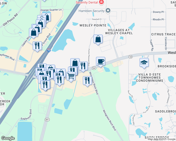 map of restaurants, bars, coffee shops, grocery stores, and more near Florida 54 in Wesley Chapel