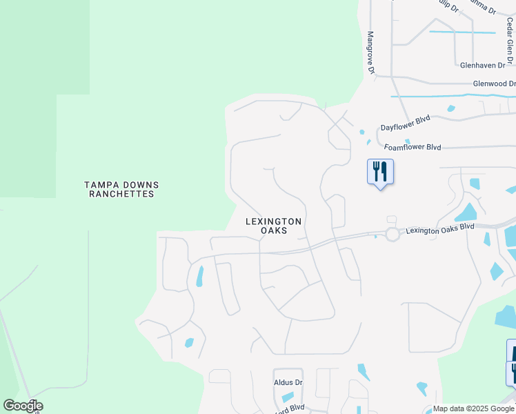 map of restaurants, bars, coffee shops, grocery stores, and more near 5548 Riva Ridge Drive in Wesley Chapel